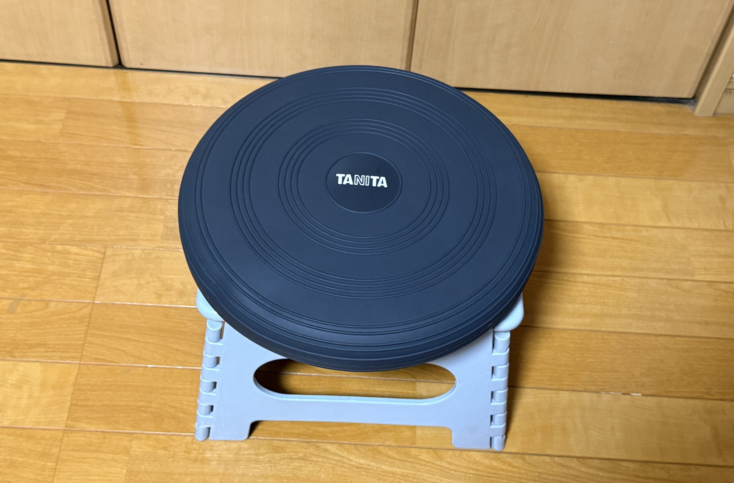 タニタのバランスクッション